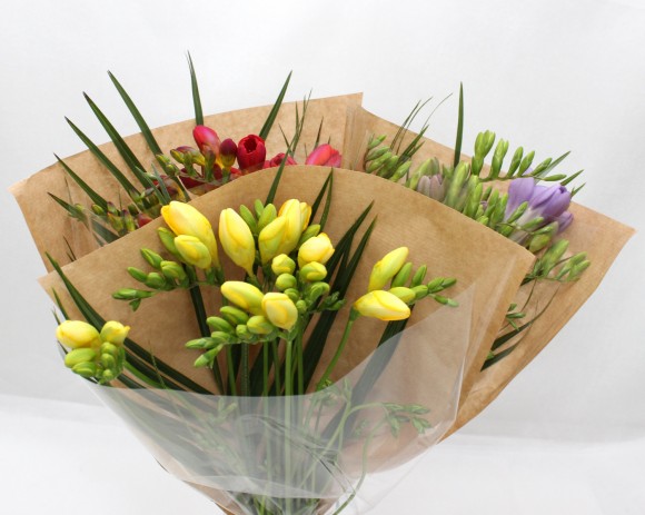 freesia fleurs vrac botte pas cher prix réduit grossiste gros nantes saint nazaire savenay 44