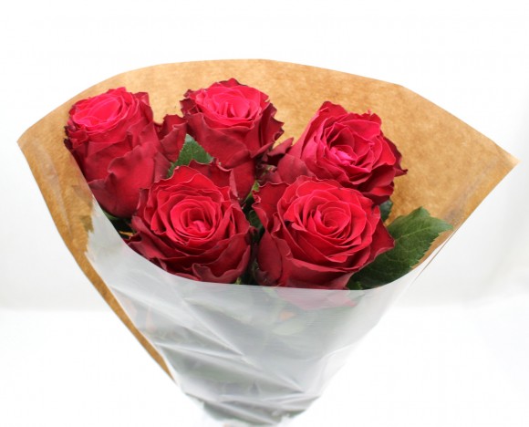 ROSES GB X5 EQUATEUR.JPG